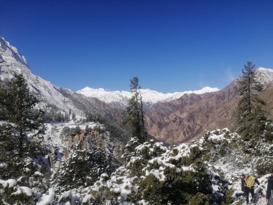 Off the Beaten Trek