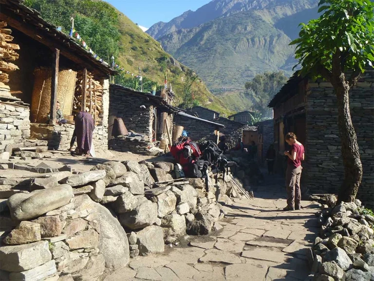 Stone Path Way image